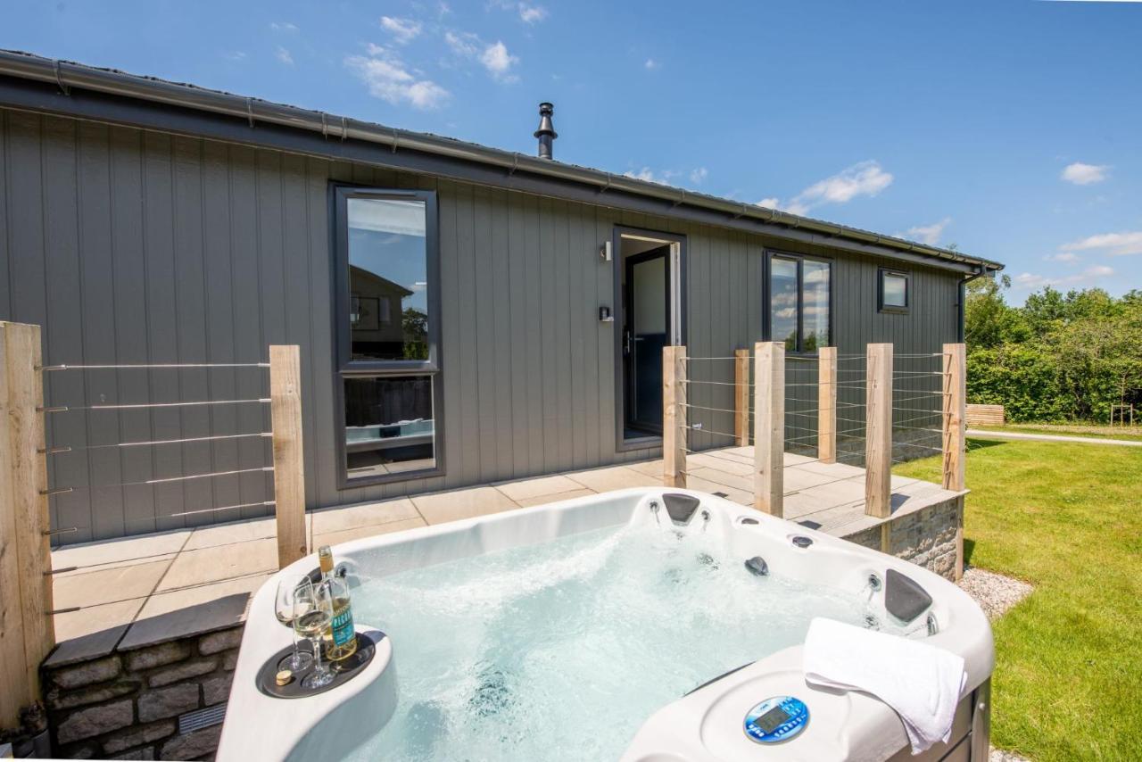 Buttercup Lodge, 33 Roadford Lake Lodges Lifton Kültér fotó
